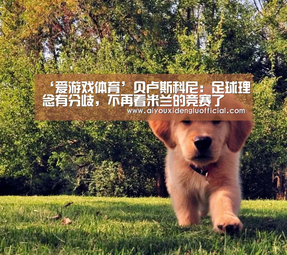 ‘爱游戏体育’贝卢斯科尼:足球理念有分歧,不再看米兰的竞赛了(图1) 爱游戏体育