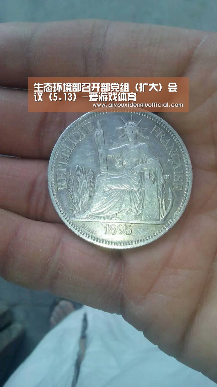 生态环境部召开部党组(扩大)会议(5.13)-爱游戏体育(图2) 爱游戏下载